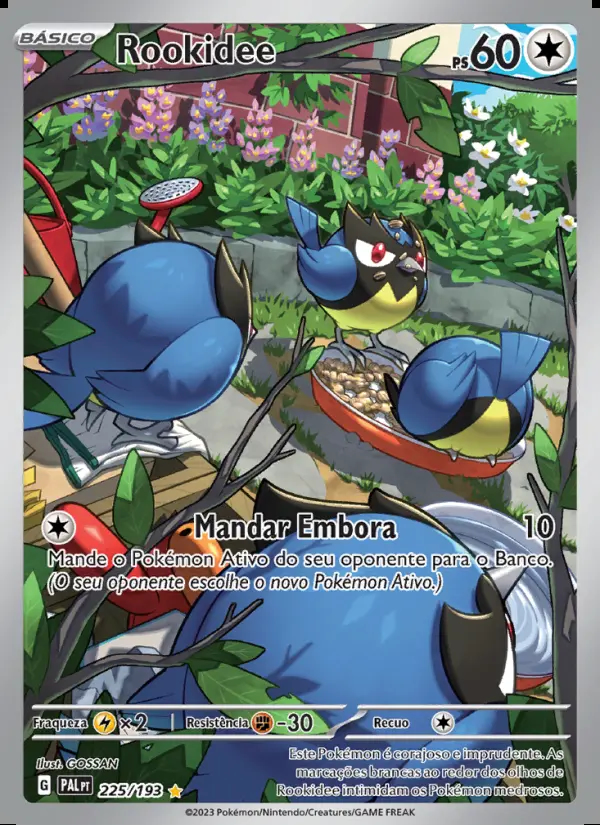 Image of the card Rookidee