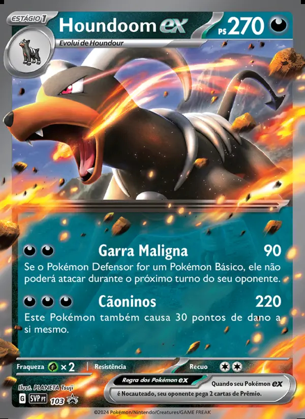 Image of the card Houndoom ex